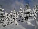 Winter 26